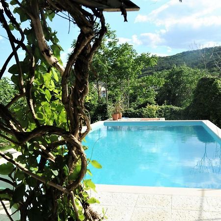 Villa Regina Serafina Balčik Exteriér fotografie