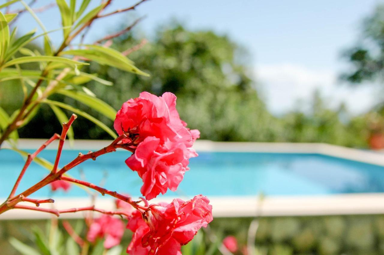Villa Regina Serafina Balčik Exteriér fotografie